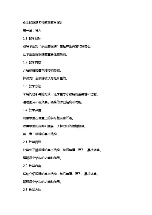 永生的眼睛名师教案教学设计