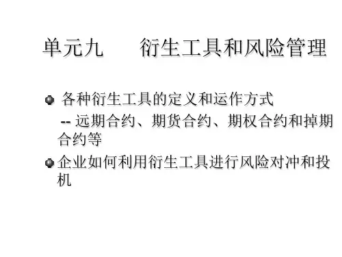 衍生工具和风险管理 ppt
