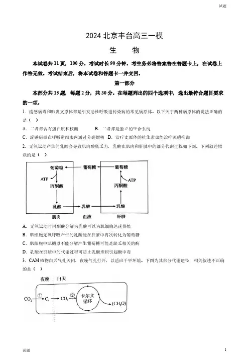 2024北京丰台区高三一模生物试题及答案