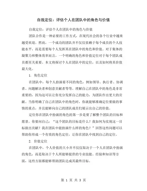 自我定位：评估个人在团队中的角色与价值