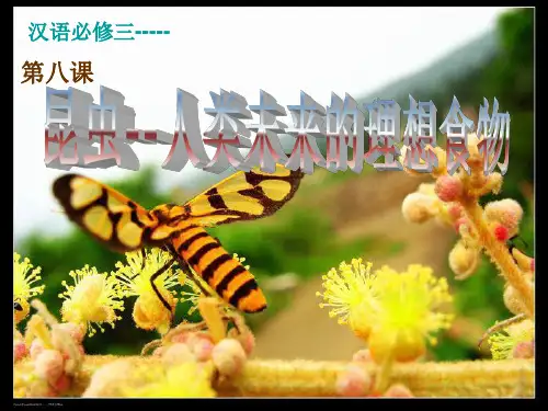 演示文稿第八课昆虫人类未来的理想食物(公开课)