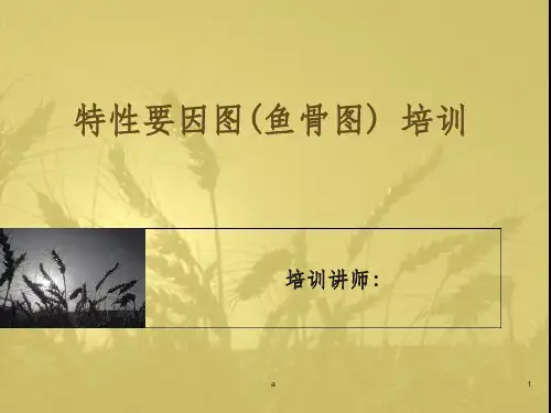 特性要因图PPT