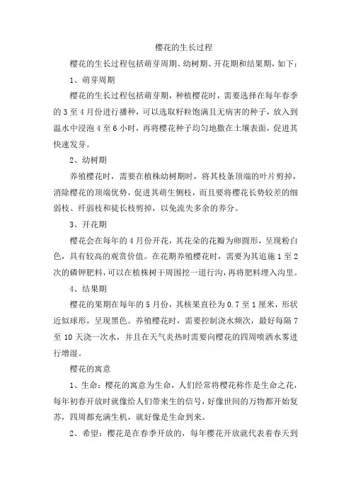 樱花的生长过程