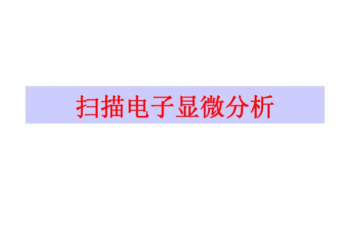 扫描电子显微分析