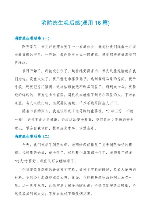 消防逃生观后感(通用16篇)