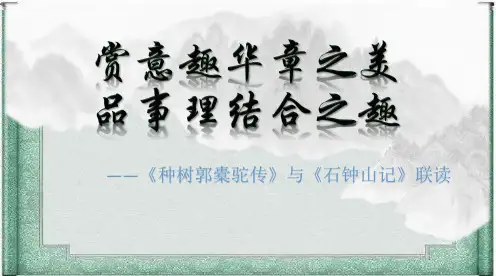 联读《种树郭橐驼传》与《石钟山记》精品课件