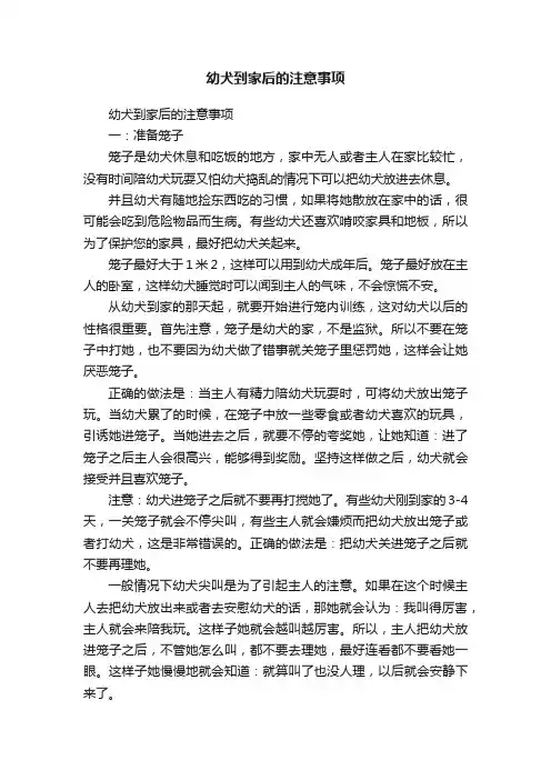 幼犬到家后的注意事项