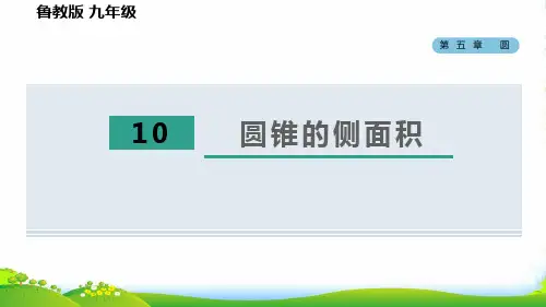 2022春九年级数学下册 第五章 圆10圆锥的侧面积习题课件 鲁教版五四制