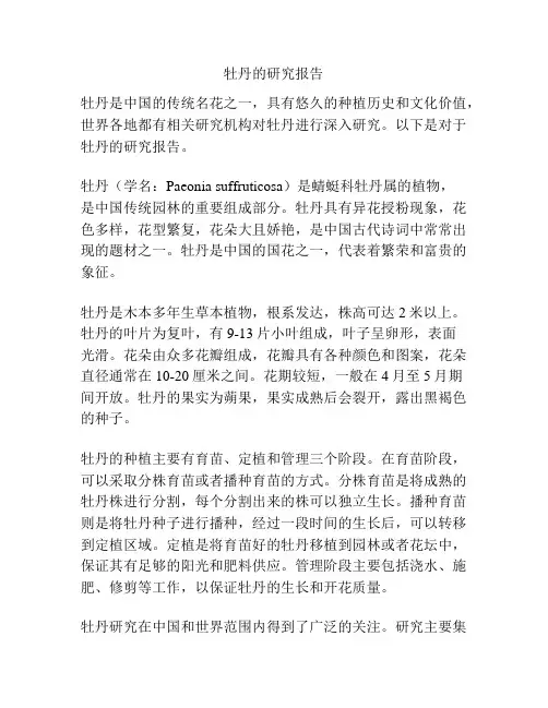 牡丹的研究报告