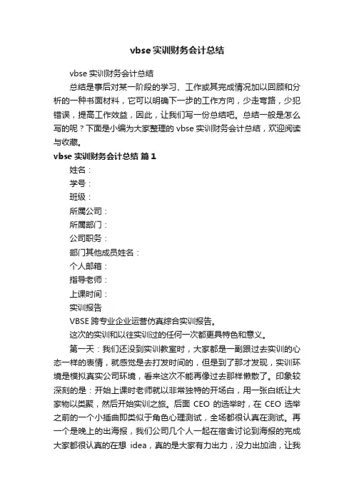 vbse实训财务会计总结