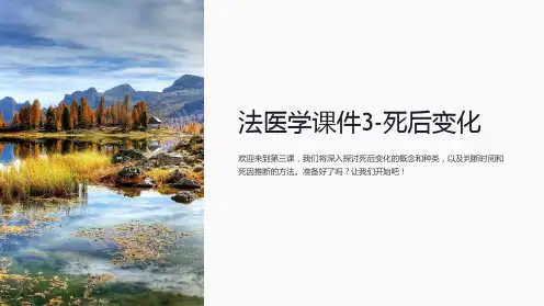 法医学课件3-死后变化