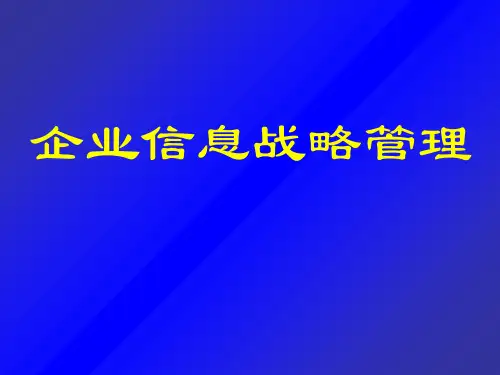 企业信息战略管理ppt课件