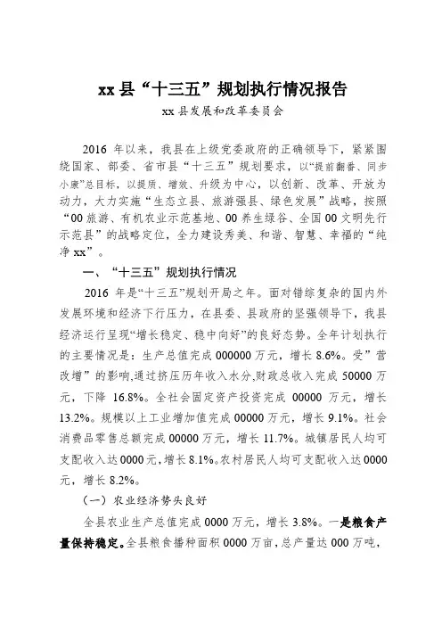 十三五规划执行情况报告