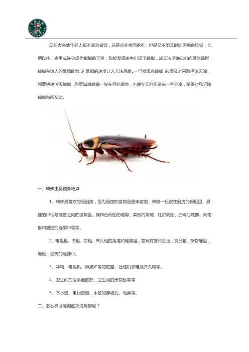 彻底消灭的有效蟑螂的办法