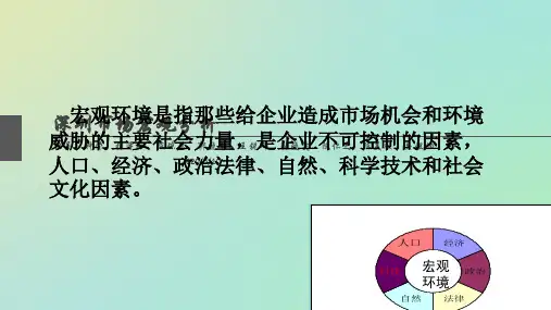 珠宝企业宏观营销环境影响因素概要