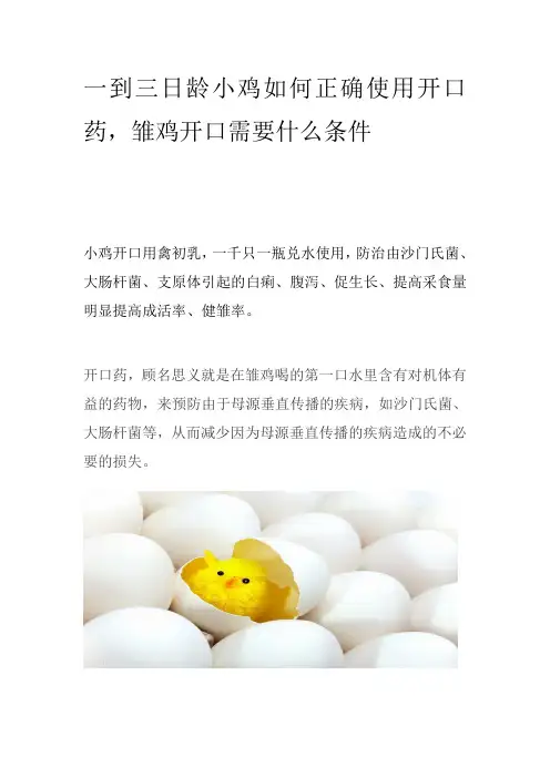 一到三日龄小鸡如何正确使用开口药,雏鸡开口需要什么条件
