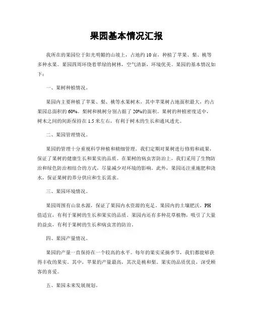 果园基本情况汇报