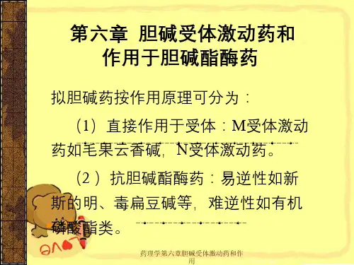 药理学第六章胆碱受体激动药以及作用