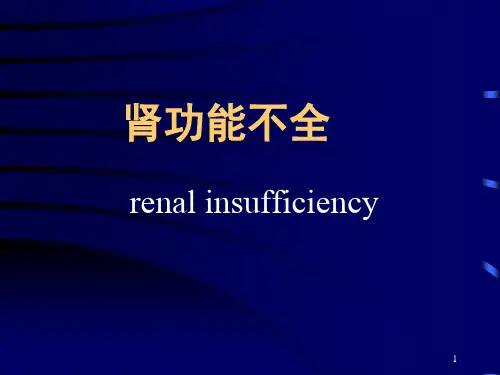 肾功能衰竭ppt课件