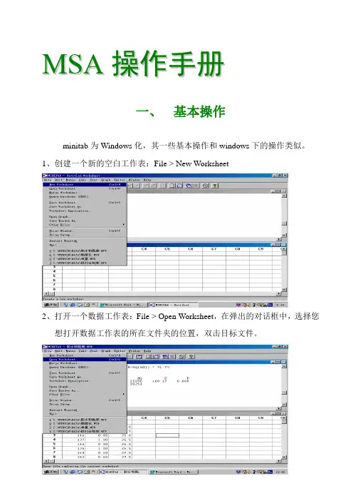 MSA操作手册 