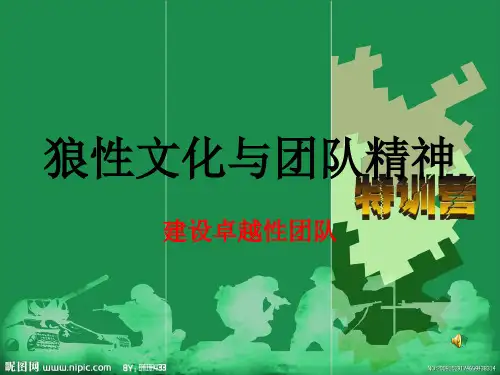 狼性文化与团队精神