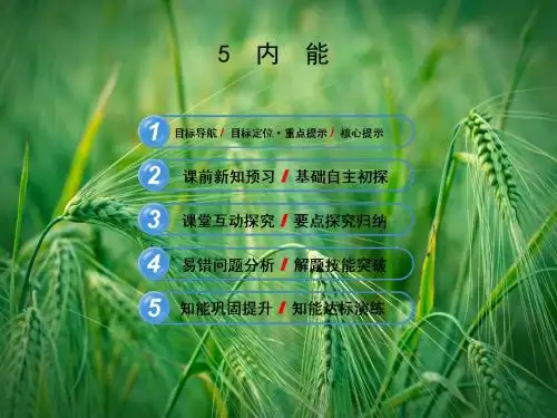7.5 内能课件 新人教版选修3-3课件