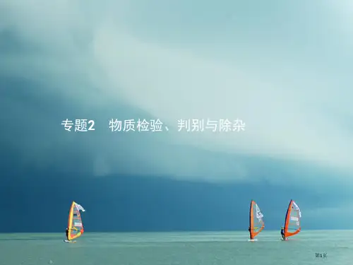 中考化学总复习专项2物质的检验鉴别与除杂市赛课公开课一等奖省名师优质课获奖课件