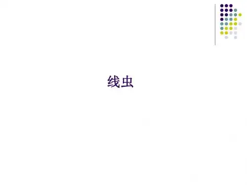 线虫