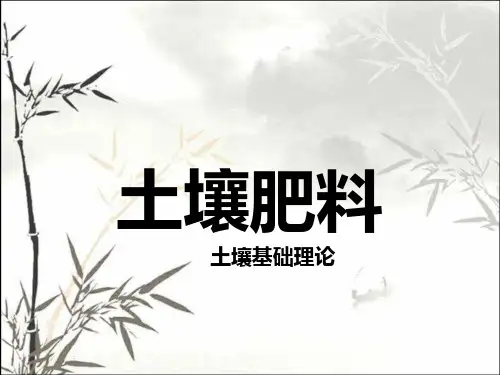土壤矿物质土粒 PPT课件
