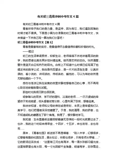 有关初三青春冲刺中考作文4篇