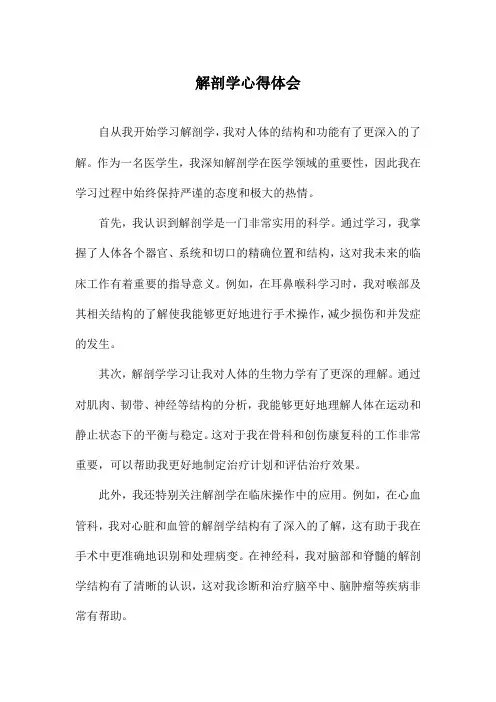解剖学心得体会
