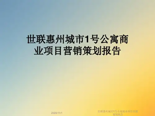 世联惠州城市1号公寓商业项目营销策划报告