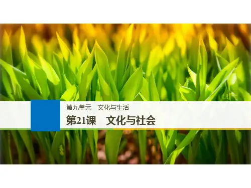 高考政治一轮复习必修3第九单元文化与生活文化与社会课件