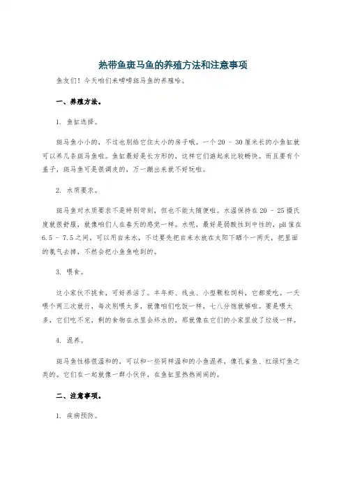 热带鱼斑马鱼的养殖方法和注意事项
