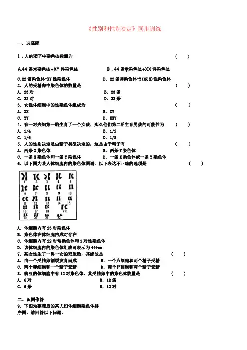 八年级生物上册20_4性别和性别决定同步练习新版北师大版