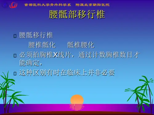 首都医科大学骨外科学系幻灯片PPT