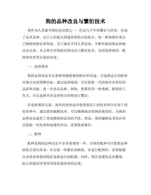 狗的品种改良与繁衍技术