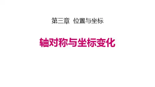 《轴对称与坐标变化》教案