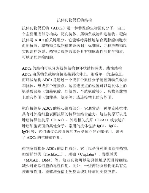 抗体药物偶联物结构