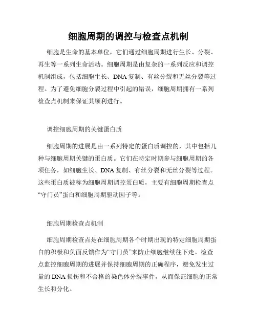 细胞周期的调控与检查点机制