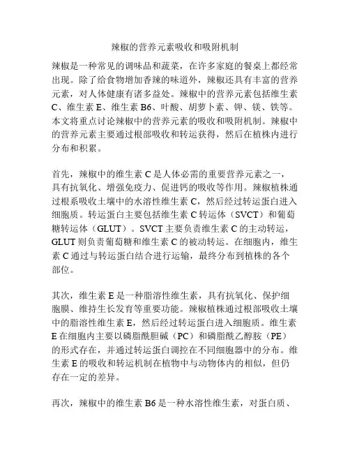 辣椒的营养元素吸收和吸附机制