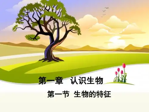 人教版七上第一单元第一章认识生物第一节生物的特征   课件29张PPT
