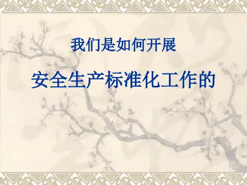 安全生产标准化.ppt