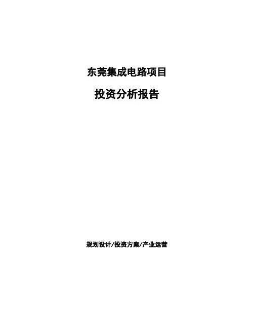 东莞集成电路项目投资分析报告