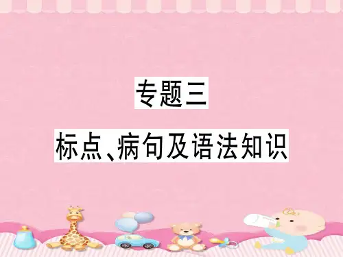 专题三 标点、病句及语法知识[1]PPT课件