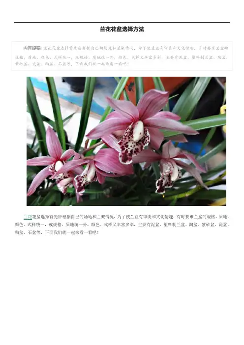 兰花花盆选择方法