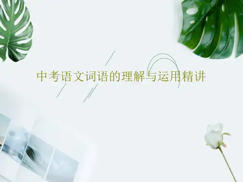 中考语文词语的理解与运用精讲共34页