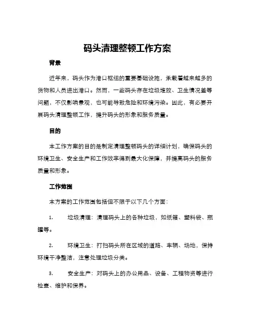 码头清理整顿工作方案