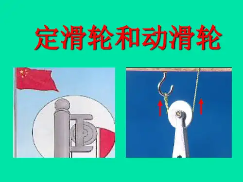 教科版《定滑轮和动滑轮》专家课件1