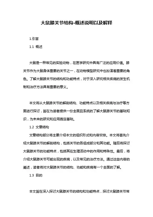 大鼠膝关节结构-概述说明以及解释